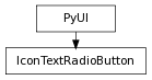 Inheritance diagram of IconTextRadioButton