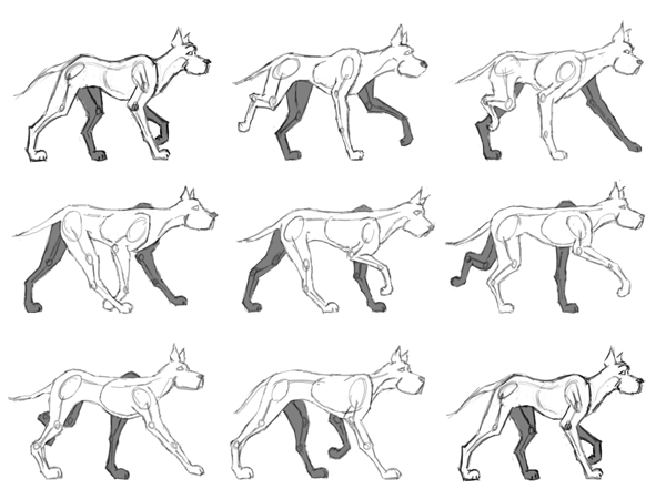 Autodesk 3ds Max Tutorials: Animating a Quadruped  Walkquadrupedanimationfreeformanimationanimationquadrupedanimationfreeformforefeetbipedforefeet